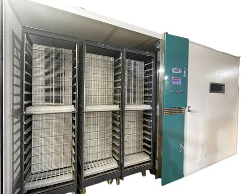 কেনা ONELYE 19200 চিকেন এগ হ্যাচিং মেশিন সম্পূর্ণ স্বয়ংক্রিয় online manufacture