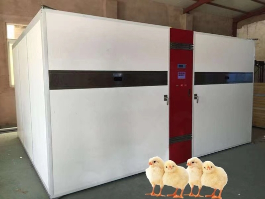 কেনা তাপমাত্রা পরিসীমা 30-70°C এবং আর্দ্রতার পরিসর 30-90% RH এর জন্য একক পর্যায় ইনকিউবেটর online manufacture