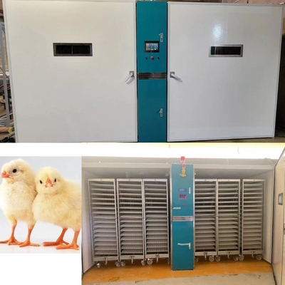 কেনা 220V/50Hz চিকেন হ্যাচিং মেশিন ±3% RH এর আর্দ্রতা নির্ভুলতা সহ online manufacture