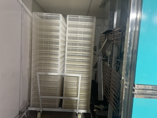 Stainless Steel Egg Hatching Equipment for Consistent Humidity Management