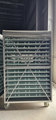 Poultry Industrial 100000 Eggs Multi Stage Incubator
