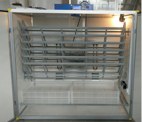 কেনা ফিজেন্ট ইনকিউবেটর 2000 ডিম online manufacture