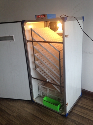 কেনা 500 চিকেন ডিম ইনকিউবেটর online manufacture