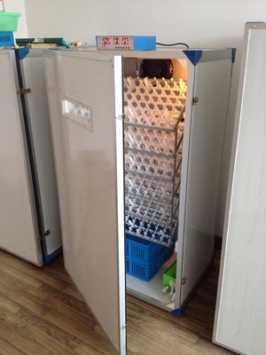 কেনা স্বয়ংক্রিয় পোল্ট্রি ডিম ইনকিউবেটর হ্যাচিং মেশিন 600 ডিম ইনকিউবেটর online manufacture