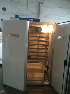 কেনা ডিজিটাল ডিম সেটার ইনকিউবেটর হ্যাচার 7956 কোয়েল ডিম ডিম ছাড়ার যন্ত্র online manufacture