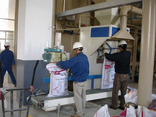 কেনা দ্বাদশ শিল্পকর্মী পিলিট মিল কাঠের কাঠের কাঁচা পেল্ট প্রস্তুতকারক online manufacture