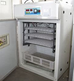 কেনা 200PCS জাম্বো পোল্ট্রি ডিম ইনকিউবেটর এক্সট্রুড সেকশন online manufacture