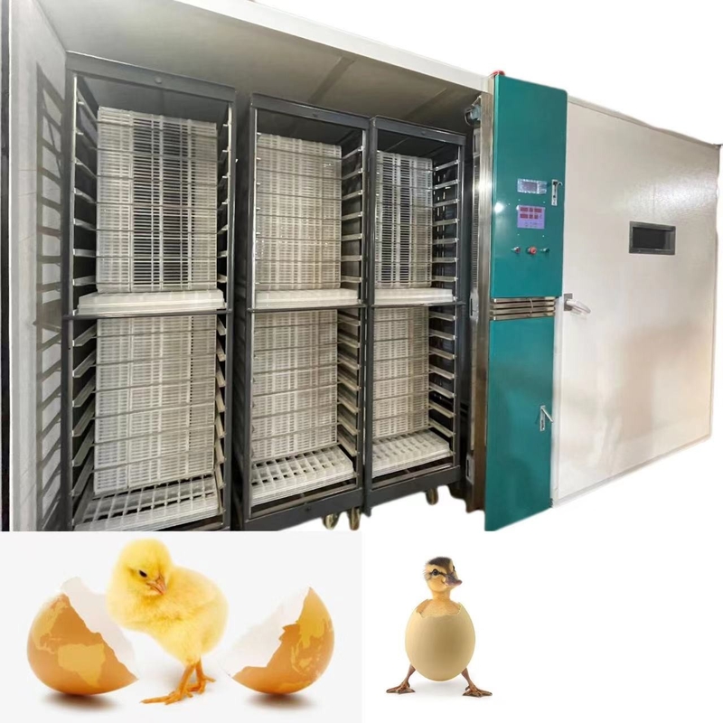 Hatching Rate 98% Large Scale Automatic Chicken Egg Incubator 19200