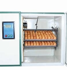 360 Degree Automatic Chicken Egg Incubator Hatchers Ventilated